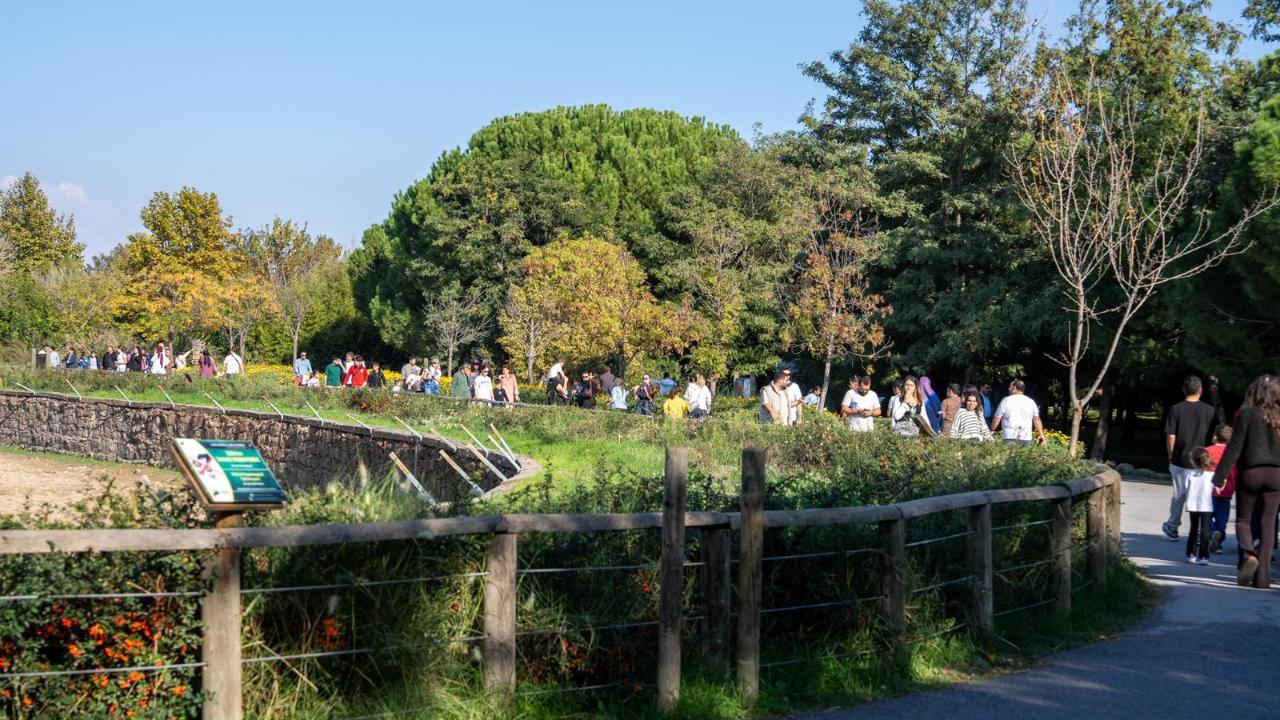 İzmir Doğal Yaşam Parkı’na ziyaretçi akını