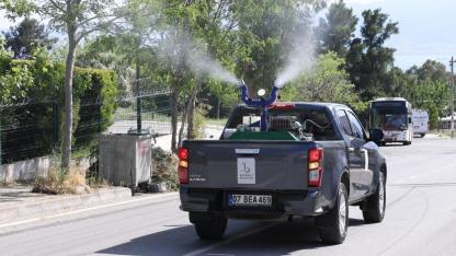 Bayraklı’da yaz boyunca ilaçlama seferberliği