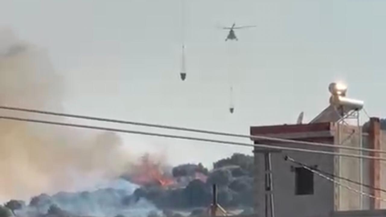 Dikili'de ziraat arazisinde başlayan yangın ormanlık alana sıçradı