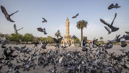 İzmir iklim nötr kent olmayı hedefliyor