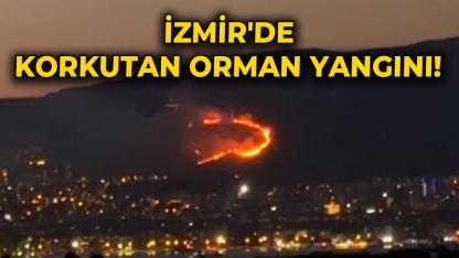 İzmir'de korkutan orman yangını!