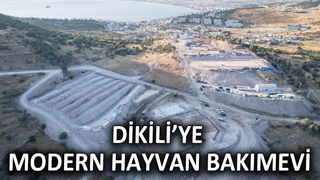 Dikili’ye modern hayvan bakımevi