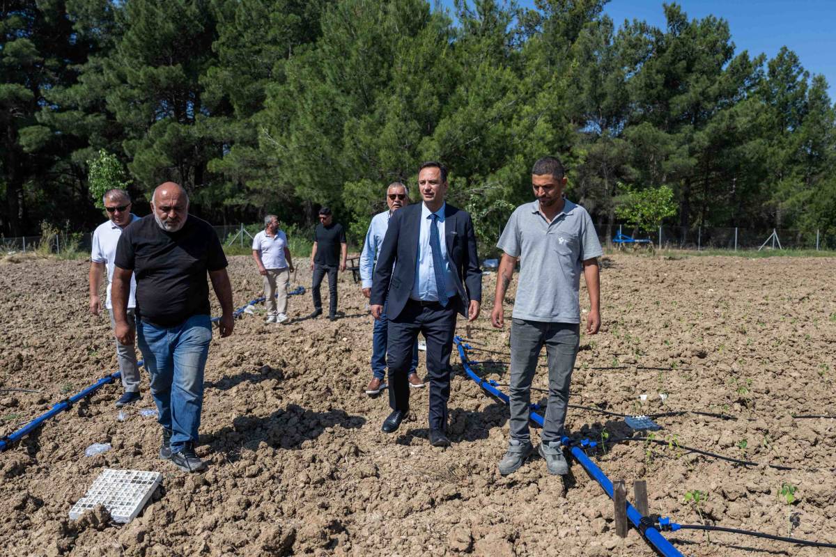 Bornova’da atıl topraklar hayat buluyor